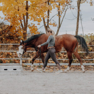 Online Kurs "Tensegrales Basistraining"