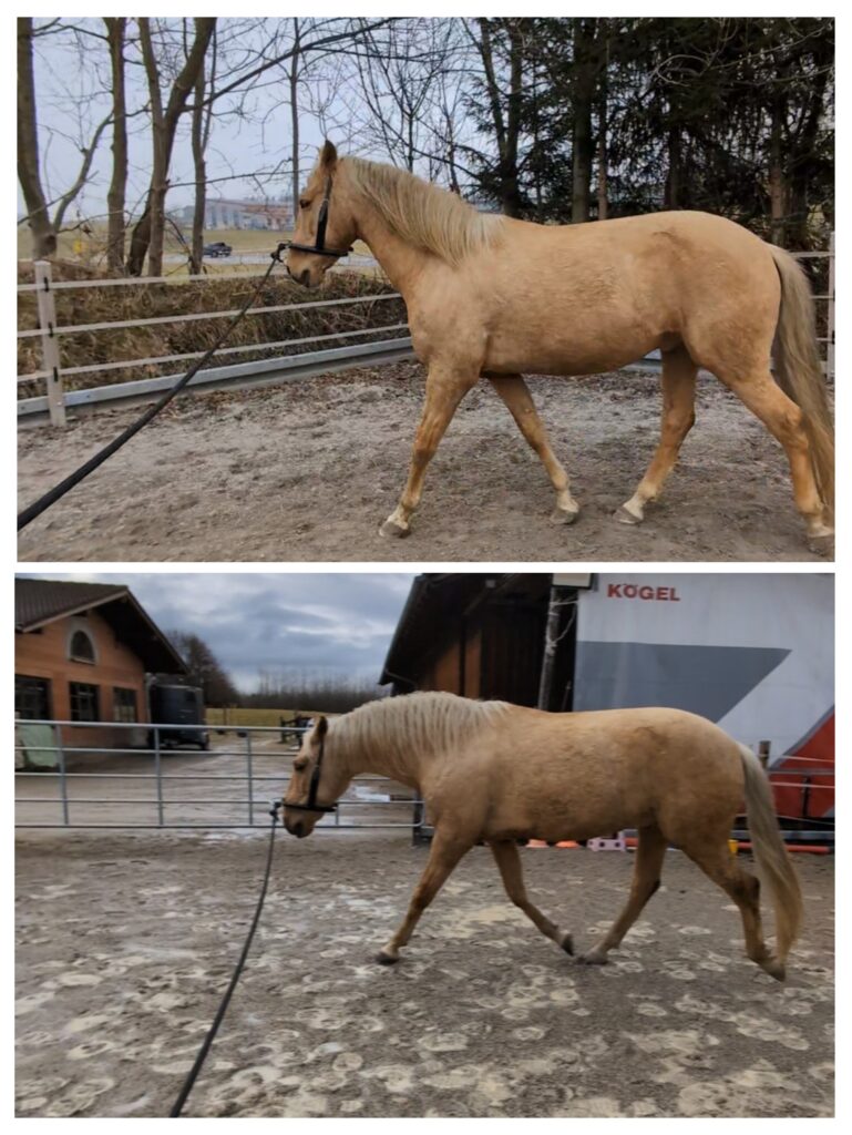 20250322_215457-COLLAGE