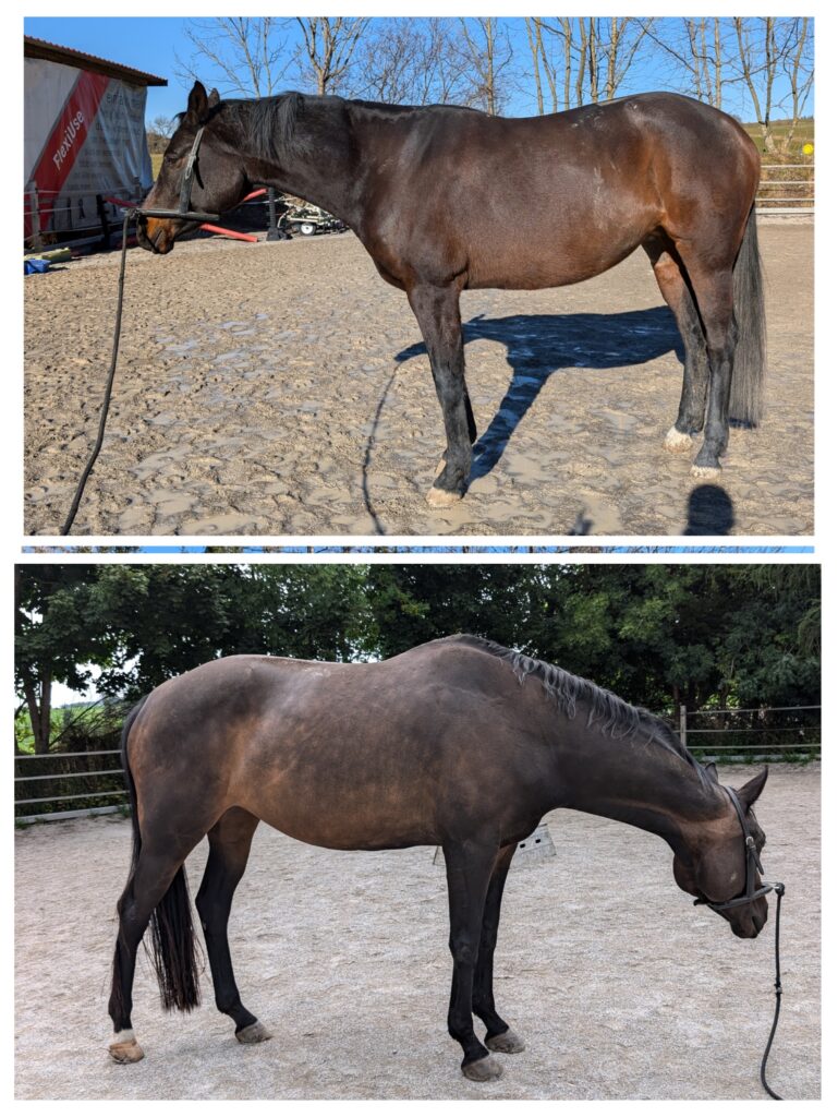 20250821_162411-COLLAGE