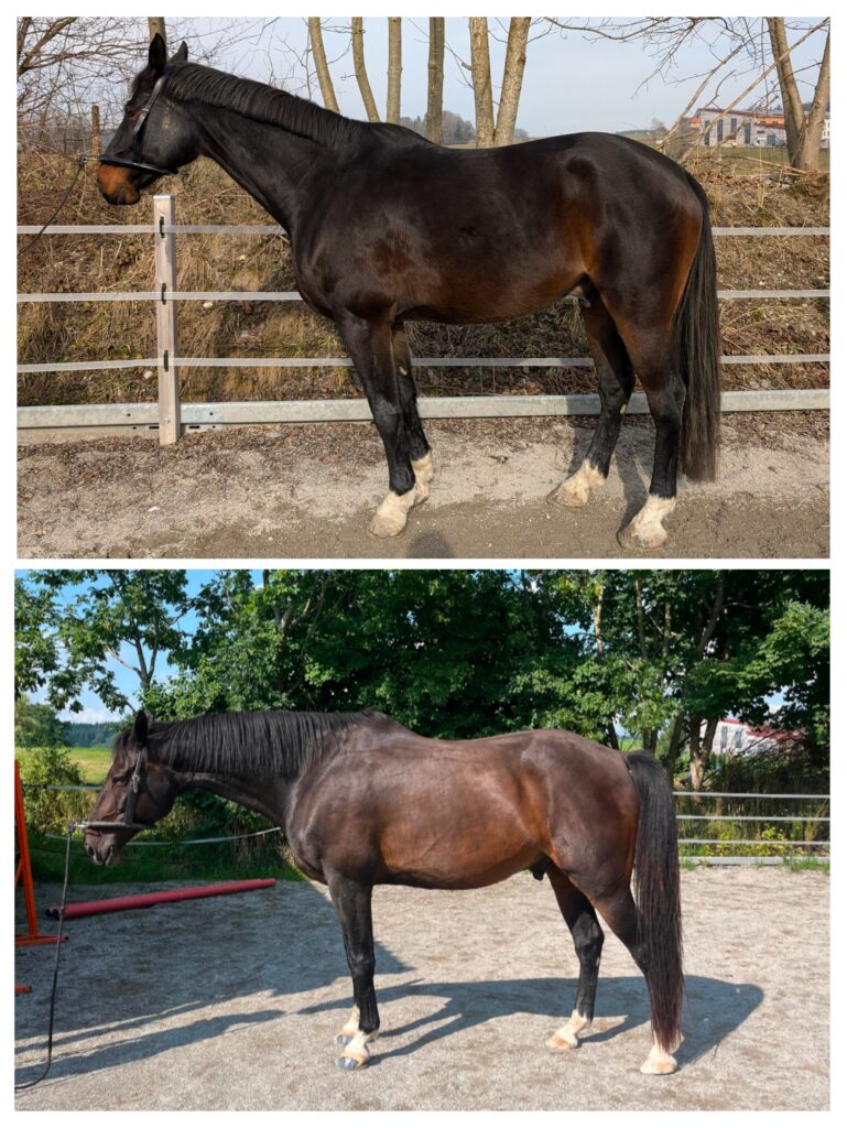 20250823_153517-COLLAGE