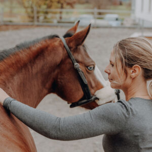Online Kurs "Blickschulung"