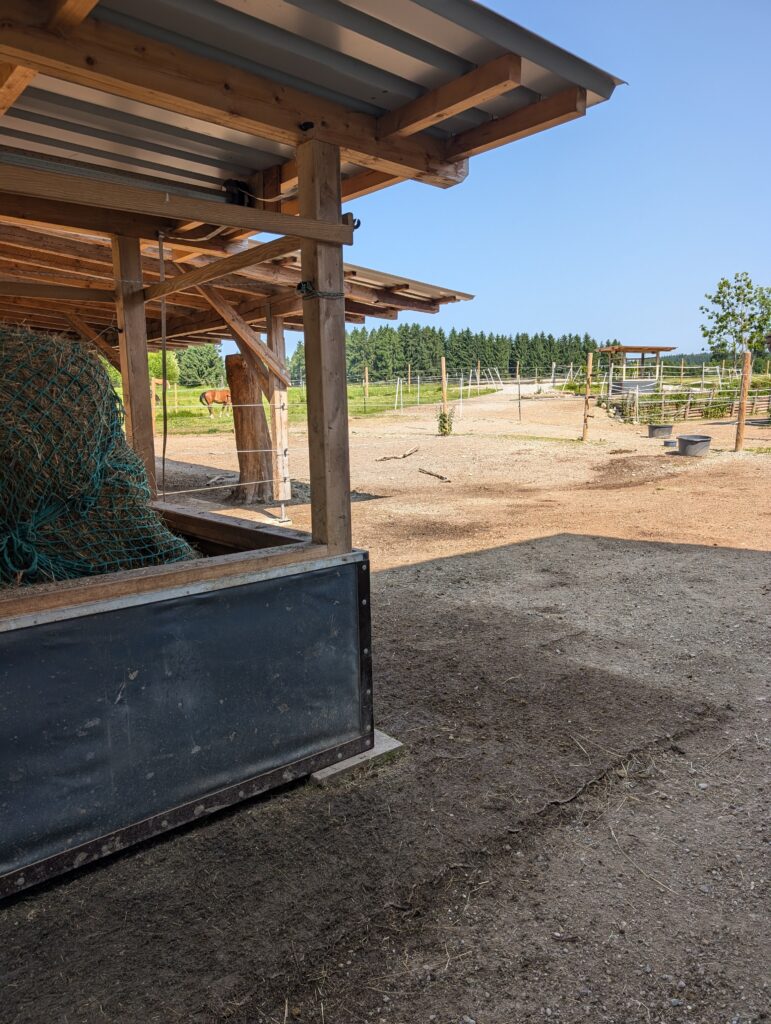 PXL_20250612_082508767