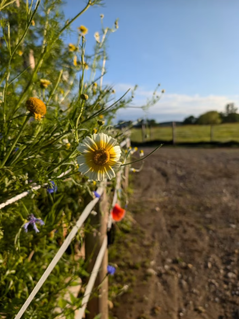 Screenshot_20251120-124957_1