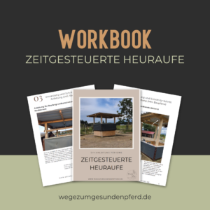Workbook "Zeitgesteuerte Heuraufe"