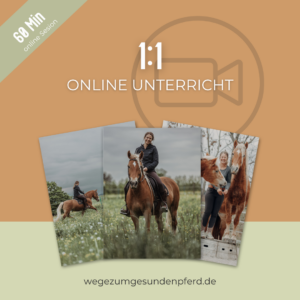1:1 online Unterricht